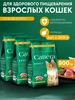 Корм сухой для котят и кормящих кошек с курицей 300г х 3 шт Cattera 784038767 купить за 307 ₽ в интернет‑магазине Wildberries